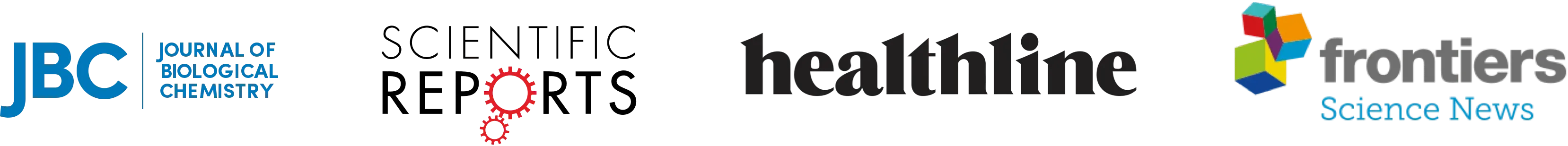 Global Scientific Data Visualization